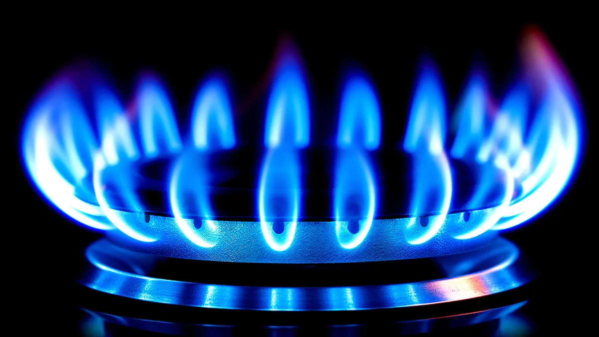 Blue gas flame of the stove close-up against a black background