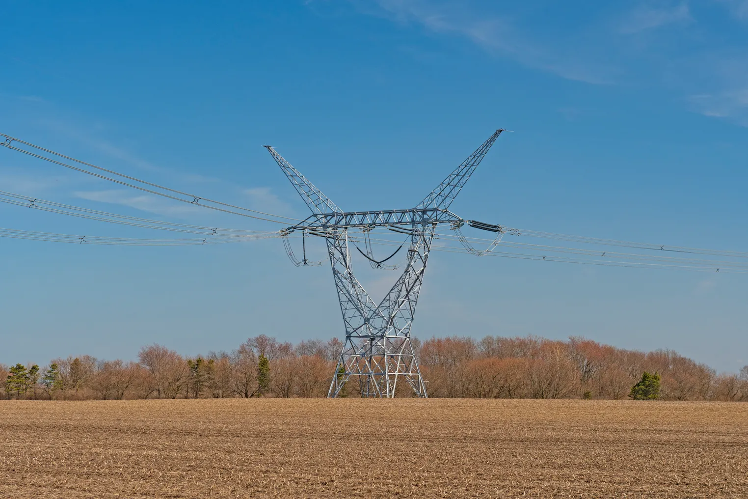 A transmission lIne pylon sits in the middle of a agricultural field with dry stubble with leafless trees in the background.